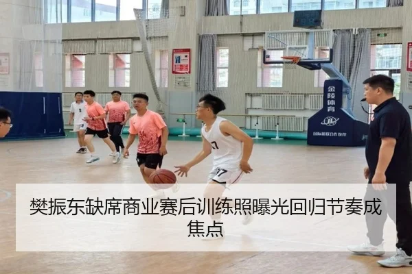 樊振东缺席商业赛后训练照曝光回归节奏成焦点